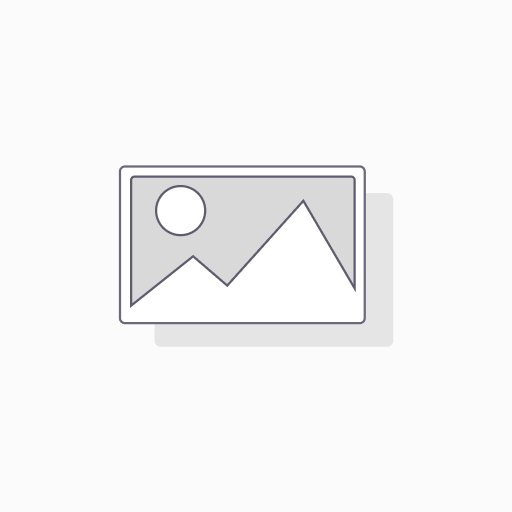 Servicios Migratorios Ejecutivos